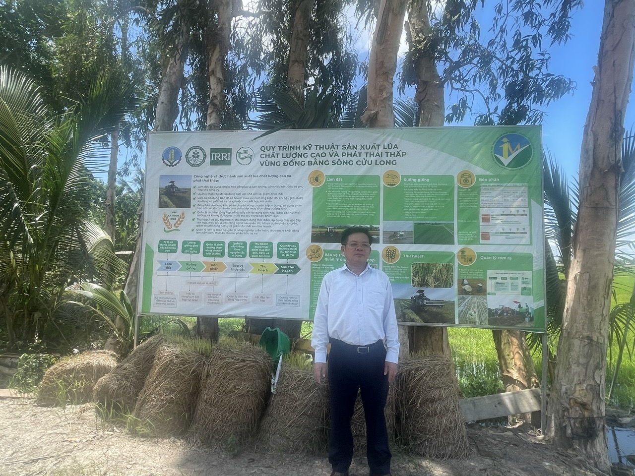 Mô hình mẫu 1 triệu ha lúa CLC