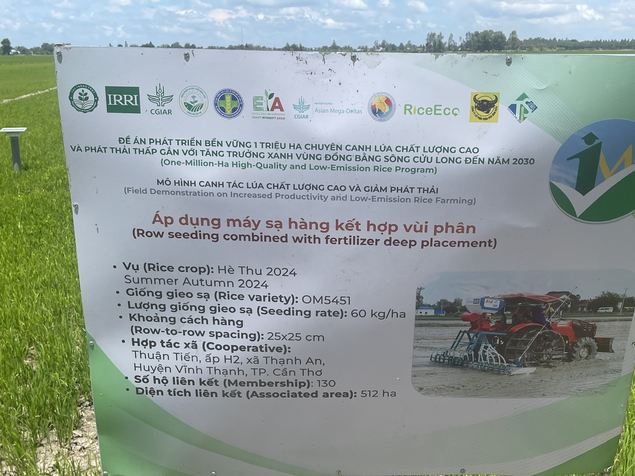 Mô hình mẫu 1 triệu ha lúa CLC