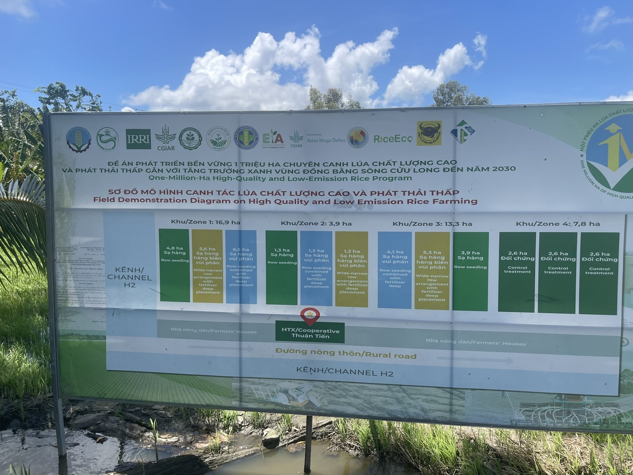 Mô hình mẫu 1 triệu ha lúa CLC