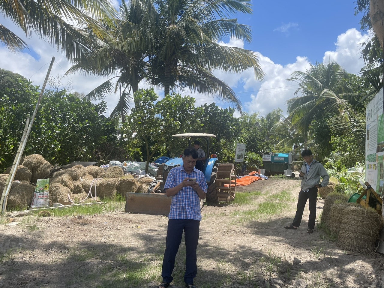 Mô hình mẫu 1 triệu ha lúa CLC