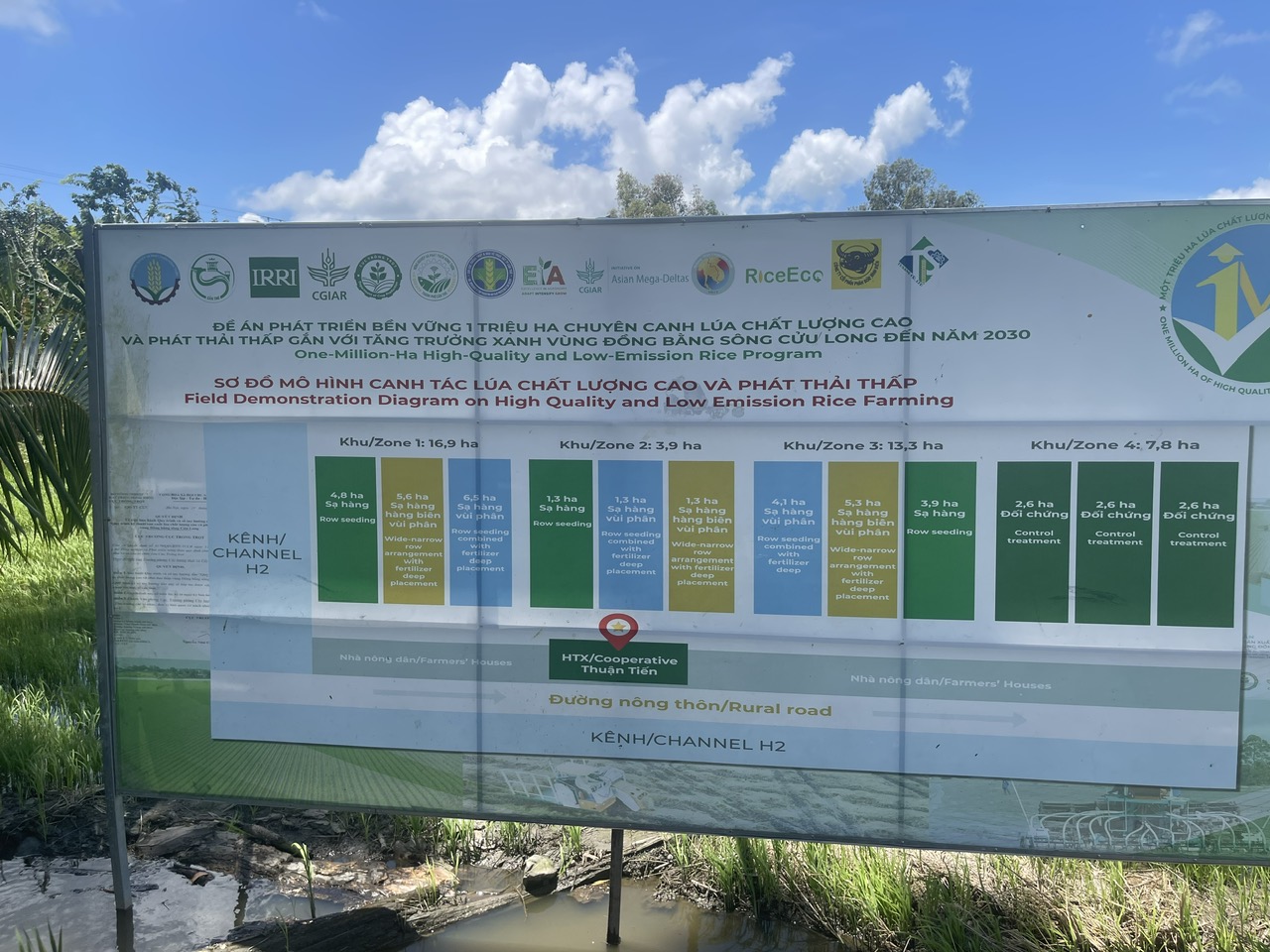 Mô hình mẫu 1 triệu ha lúa CLC