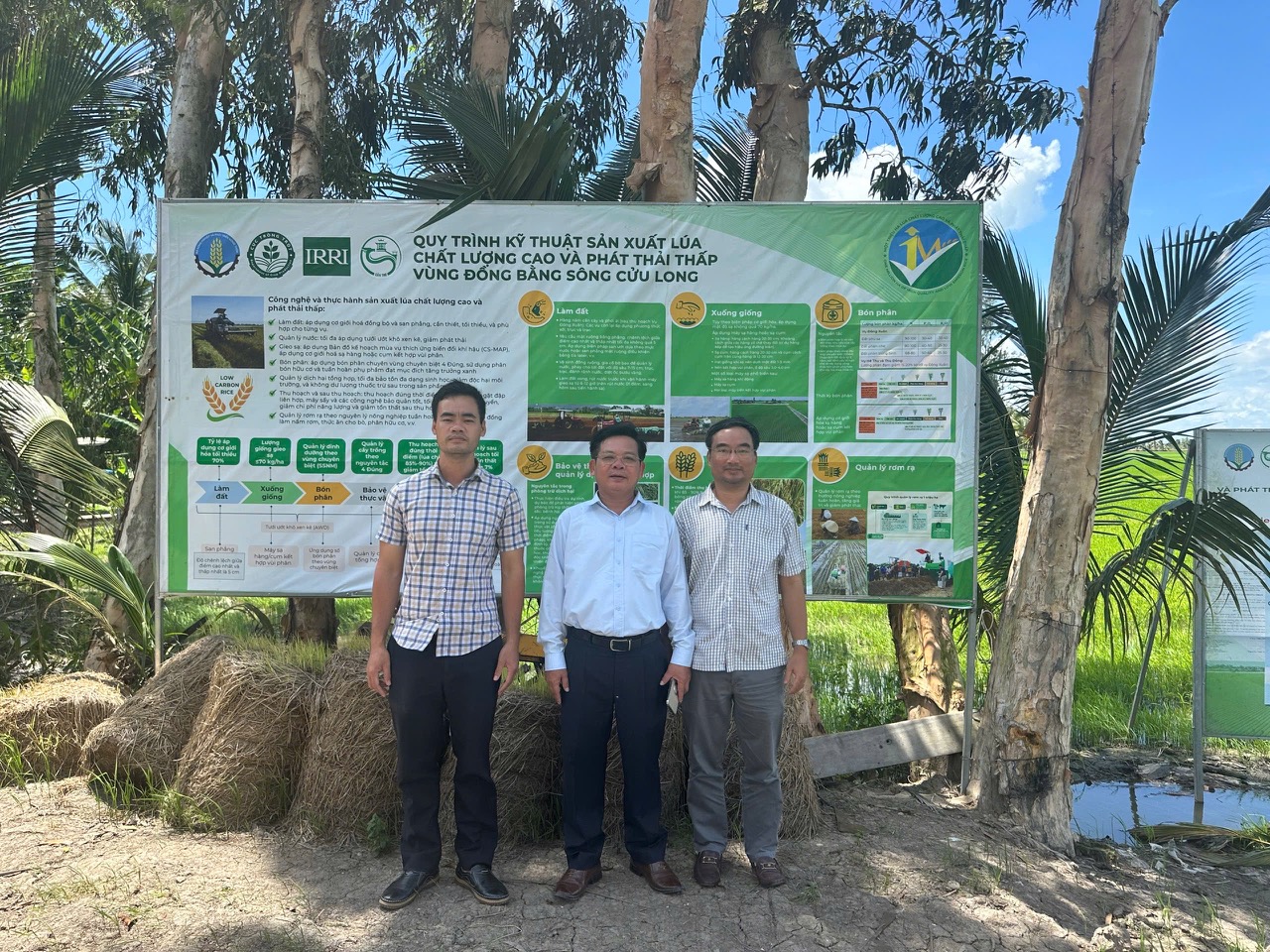 Mô hình mẫu 1 triệu ha lúa CLC