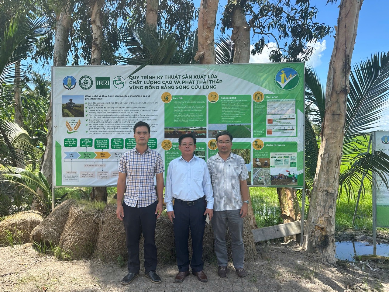 Mô hình mẫu 1 triệu ha lúa CLC