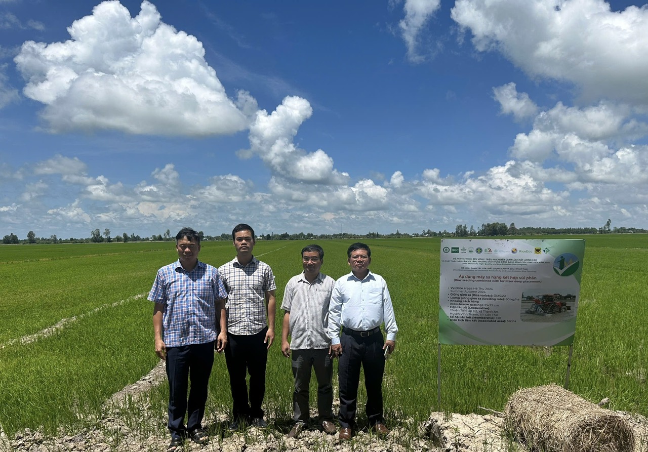 Mô hình mẫu 1 triệu ha lúa CLC