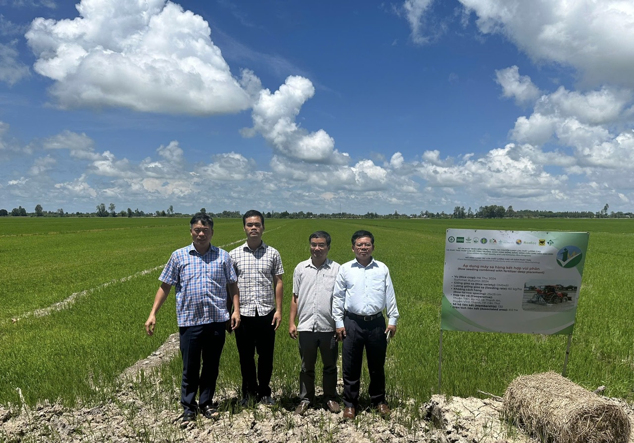 Mô hình mẫu 1 triệu ha lúa CLC