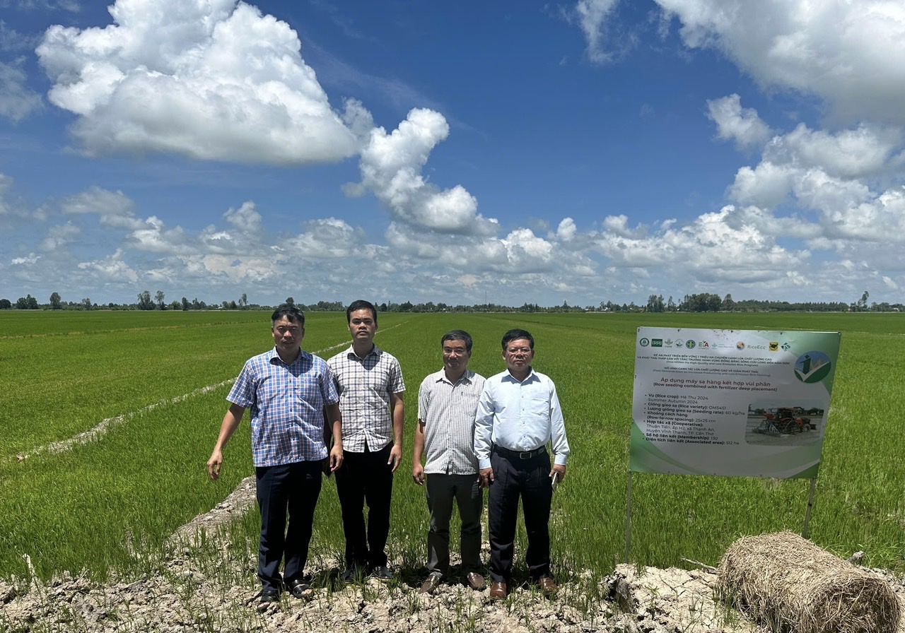 Mô hình mẫu 1 triệu ha lúa CLC