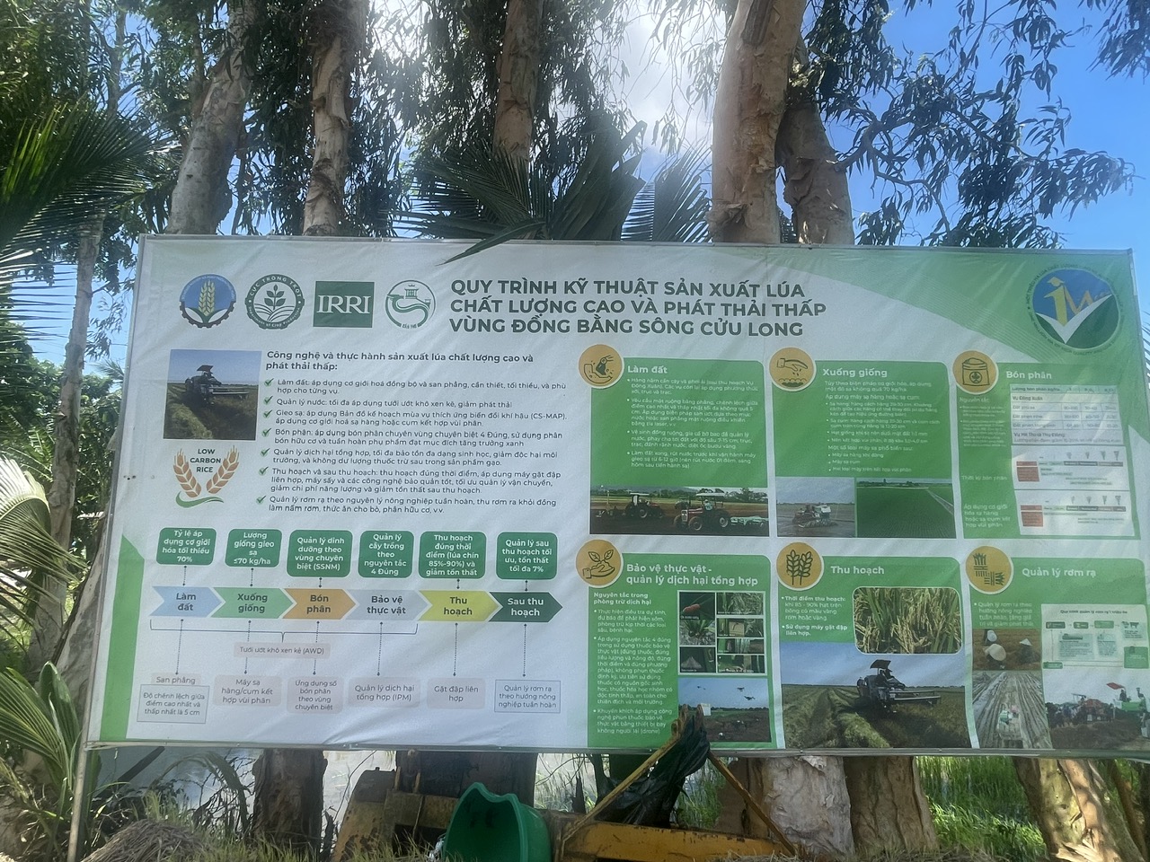 Mô hình mẫu 1 triệu ha lúa CLC