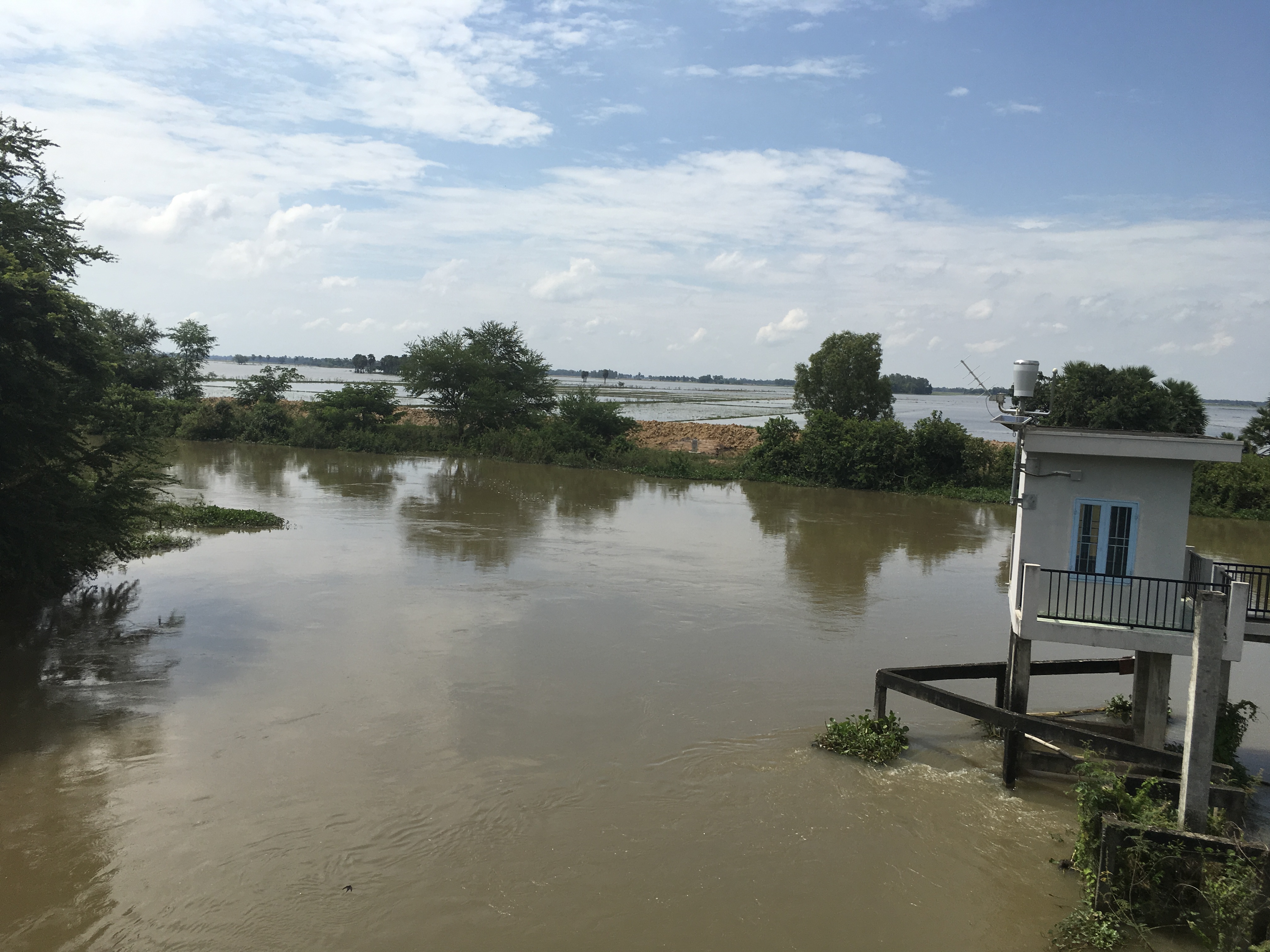 Trà sư Tha La 2024