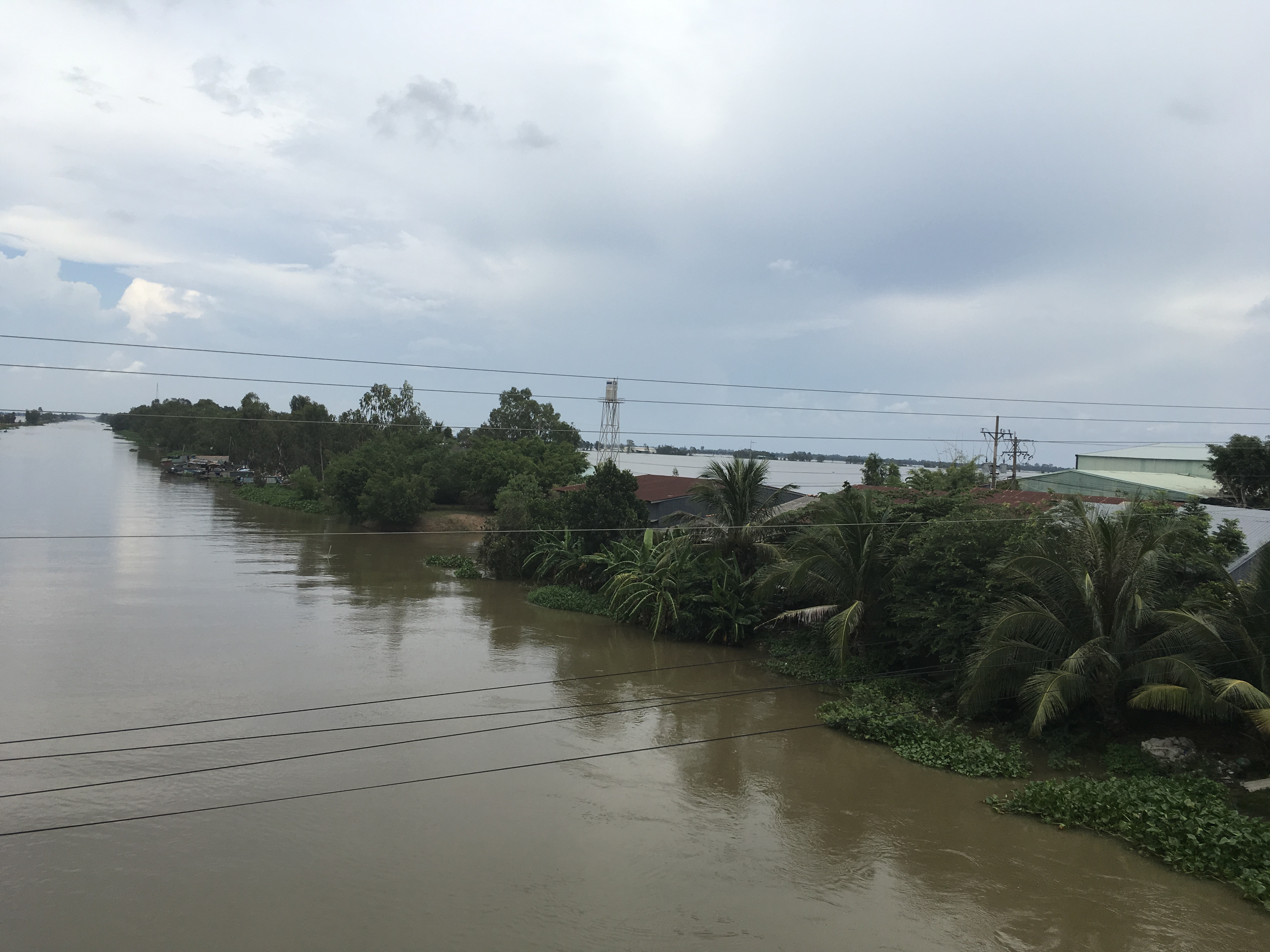 Trà sư Tha La 2024