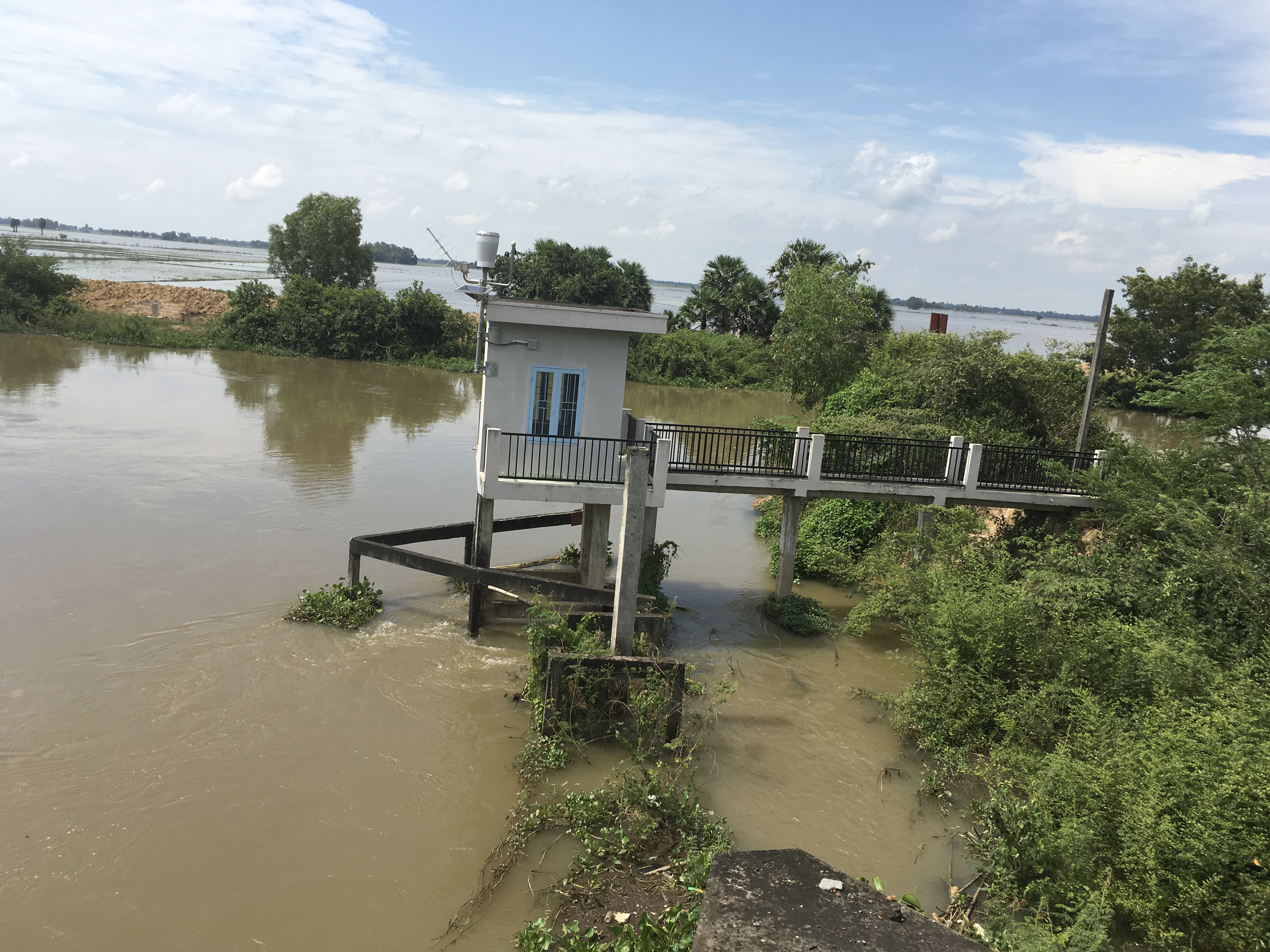 Trà sư Tha La 2024